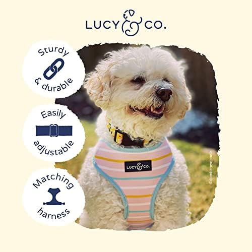 Регулируем Нашийник Lucy & Co. in The Clouds за кучета - Сладък Дизайнерски Нашийник за малки, средни и Големи кучета