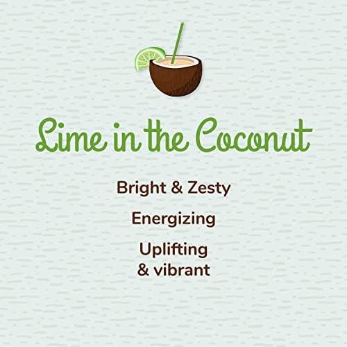 Домашен комплект Plant Therapy Tropical Scents от 3 смеси от етерични масла, включително и естествени аромати за